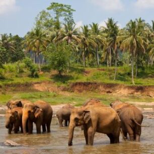 Srilanka